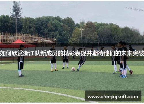 如何欣赏浙江队新成员的精彩表现并期待他们的未来突破