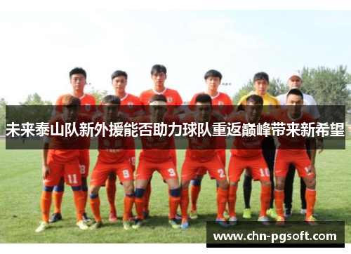 未来泰山队新外援能否助力球队重返巅峰带来新希望
