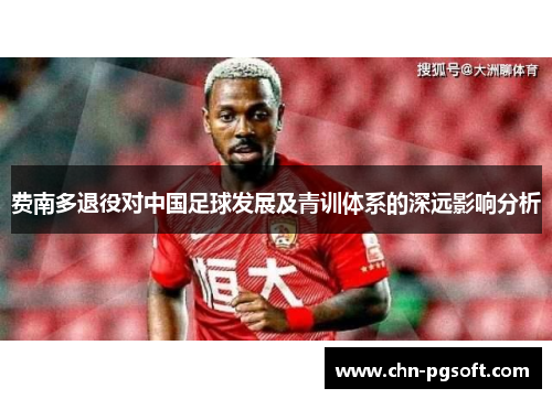 费南多退役对中国足球发展及青训体系的深远影响分析