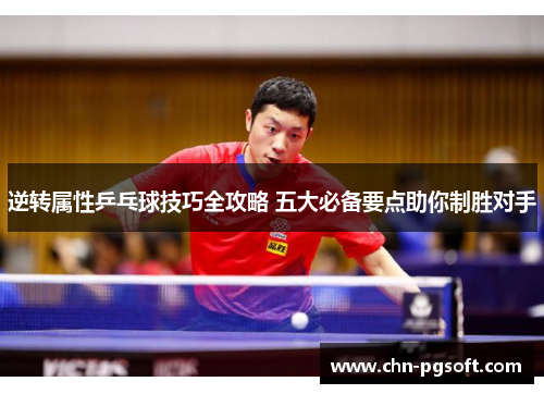 逆转属性乒乓球技巧全攻略 五大必备要点助你制胜对手 逆转属性乒乓球技巧全攻略 五大必备要点助你制胜对手